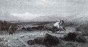 Der Letzte Buffel Albert Bierstadt